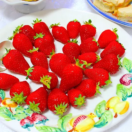 Majorca Hotell Cesenatico