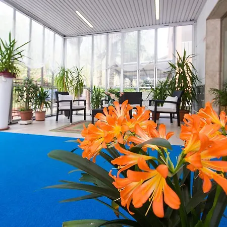 Majorca צ'סנטיקו