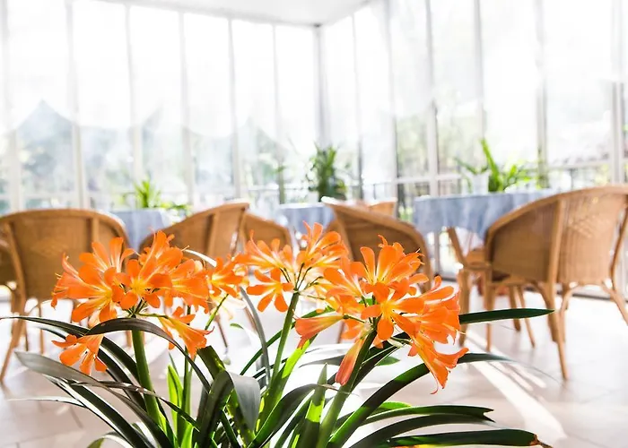 Отель Majorca 2*