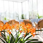 Hotel Majorca 2*