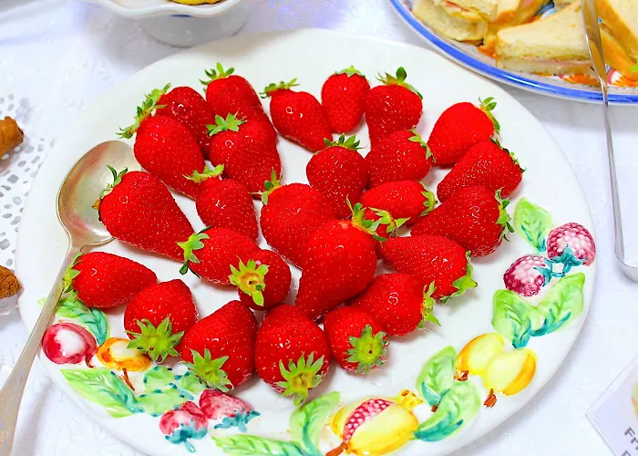 Majorca Szálloda Cesenatico