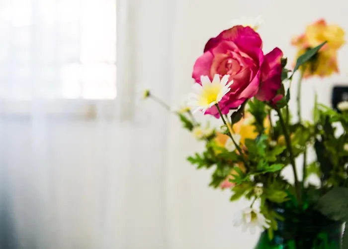 Szálloda Majorca 2*